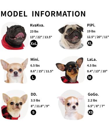 Frienperro 100% Cotton Small Dog Hoodie - Winter Warm Pet Sweatshirt for Chihuahua, Teacup Yorkie, Small Dogs - Purple X-Small - Buy Online on GoSupps.com