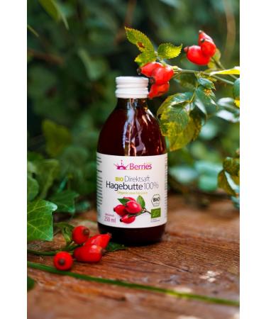 Organic Rosehip Juice 6 Pack (6x250ml) - Bio Pure Cold-Pressed Vegan No Additives - KO - Berriespolska  - Buy Online on GoSupps.com