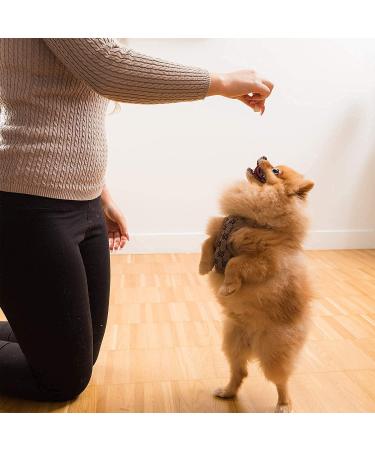 Hotspot Pets Freeze Dried Chicken Treats - All Natural Grain-Free Chicken Breast for Cats & Dogs - 1LB Bag - Made in USA - Buy Online on GoSupps.com