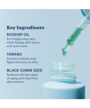 Blume Meltdown - Blue Tansy Face Oil - Acne Treatment + Pore Minimizer - Skin-Smoothing Face Serum with Black Cumin Seed & Rosehip Oil - Helps Calm Redness and Improve Texture (1 Fl oz) 1 Fl Oz (Pack of 1) - Buy Online on GoSupps.com