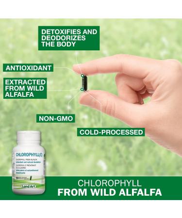 Chlorophyll Capsules - 90 pills - Cold Extracted from Non-GMO Alfalfa - Detox - Alkaline - Natural Body Deodorant Antioxidant - Made in Canada- PACK OF 2 - Buy Online on GoSupps.com