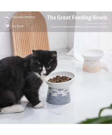 Set of 2 Ceramic Cat Bowls - Tilted Elevated Pet Feeder for Cats and Small Dogs - Dishwasher & Microwave Safe - Blue & Orange - Buy Online on GoSupps.com