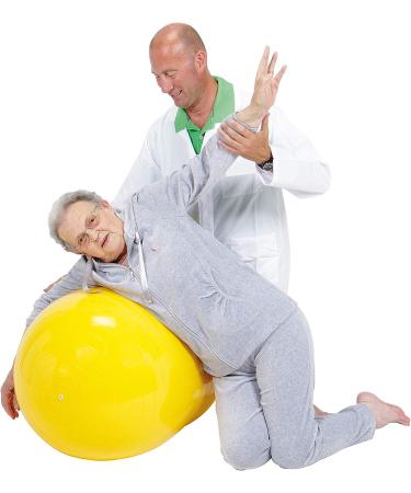 Gymnic Physio Roll 55 - Exercise and Therapy Ball for Rehabilitation and Fitness - Buy Online on GoSupps.com