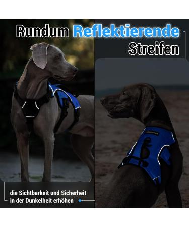 Rabbitgoo Escape-Proof Dog Harness for Medium Dogs - Anti-Pull Adjustable Breathable Padded Vest with Handle - XL Blue - Buy Online on GoSupps.com