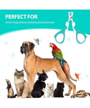 Tarnel Cat Nail Knobs - Professional 25 Claw Scissors for Small Dogs Puppies Cats & Rabbits - Ideal Pet Grooming Tool in Blue - Buy Online on GoSupps.com
