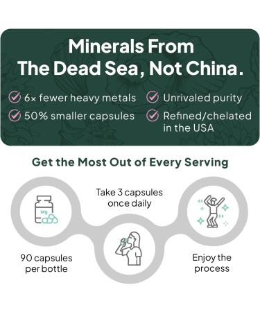 Organics Ocean Pure Magnesium Glycinate with Zinc - Maximum Strength Chelated Magnesium Supplement for Women and Men for Muscle Cramps and Sleep Support - 90 Capsule 90 Count (Pack of 1) - Buy Online on GoSupps.com