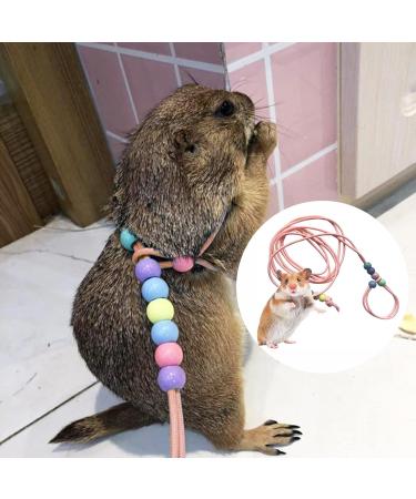 SHMLY 2-Piece Adjustable Leash & Harness for Lizards Hamsters Guinea Pigs & Small Pets - Blue & Pink - Buy Online on GoSupps.com