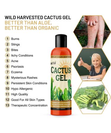 Cactus Juice Natural Soothing Moisturizer 8oz - Hydrating Dry Skin, Sunburns, Rashes & Itches - Buy Online on GoSupps.com