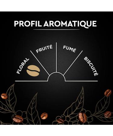 Carte Noire Caf en Grains Classique Pur Arabica Certifi Rainforest Alliance 6 Paquets de 1 kg - Buy Online on GoSupps.com