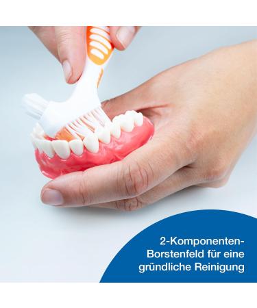 Wellsamed Denture Toothbrush - Pack of 3 Orange Denture Brushes for Third Teeth Care - Buy Online on GoSupps.com