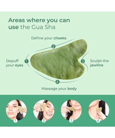Plantifique Gua Sha Facial Tools - Anti Aging GuaSha Massage Tool for Face Sculpting - Jawline Sculptor and Skincare Routine Essential - Buy Online on GoSupps.com