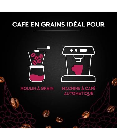 CARTE NOIRE - Caf Grain Carte Noire Espresso - 100% Arabica - Paquet de 6 kg - Fabriqu en France - Buy Online on GoSupps.com