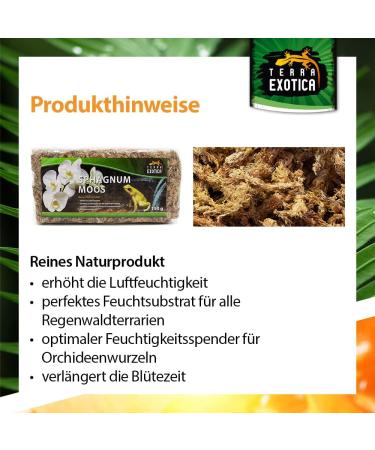 Terra Exotica Sphagnum Moss - Premium 300g Peat Moss for Garden Houseplants & Terrariums | Fast International Shipping - Buy Online on GoSupps.com