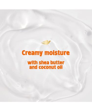 Dove Shampoo and Conditioner Set - Love Collection for Curly Wavy & Kids Hair | 17.5 Oz - International Shipping Available - Buy Online on GoSupps.com