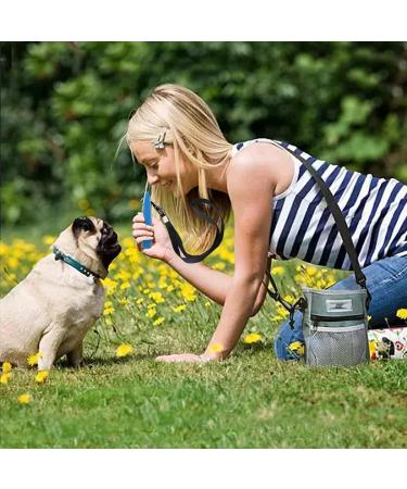 3 Pcs Professional Dog Whistle Dog Whistle for Recall Training Complete Lanyards and Keyrings for Barking Control - Buy Online on GoSupps.com