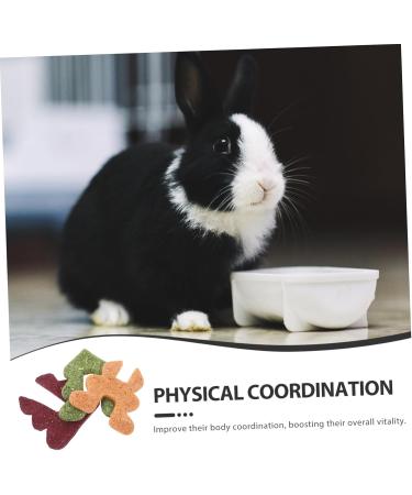 ORFOFE Rabbit Snacks Guinea Pig Treats Hamster Treats Rabbit Chew Rat Treats for Rabbits Fiber - Buy Online on GoSupps.com