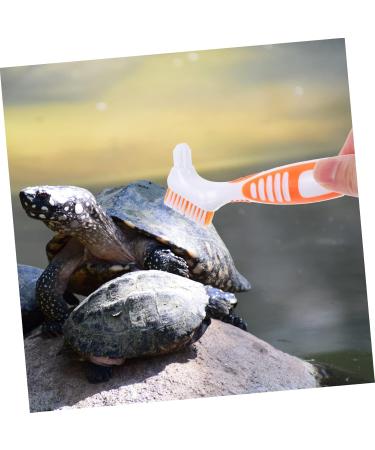 BESPORTBLE 5pcs Turtle Shell Cleaning Brush Aquarium Scraper Scrubber Turtle Tank Mud Plastic 16x5cmx5pcs As Shown 2x5pcs - Buy Online on GoSupps.com