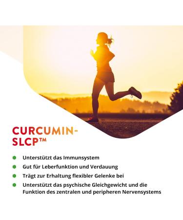 Vital Curcumin SLCP - 60 Vegan Capsules for Optimal Bioavailability & Anti-Inflammatory Support | Shop Internationally - Buy Online on GoSupps.com