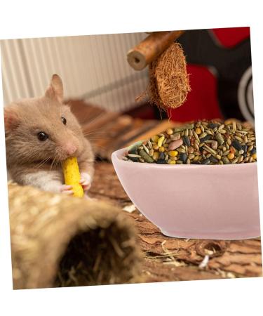 KICHOUSE 2pcs Hamster Food Plate Hamster Cage Accessories Bunny Food Hawaiian Food Hamster Bath Bowl Ceramic Rat Bowl Pet Bowl Small Cat Bowl Hamster Supplies Food Bowl for Cats Ceramics medium Pink - Buy Online on GoSupps.com