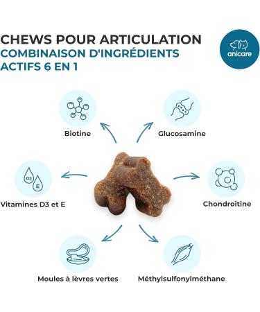 Anicare Premium Joint Care: Chewable Joint Treats! with Glucosamine Chondroitin MSM and Green-Lipped Mussels - Buy Online on GoSupps.com