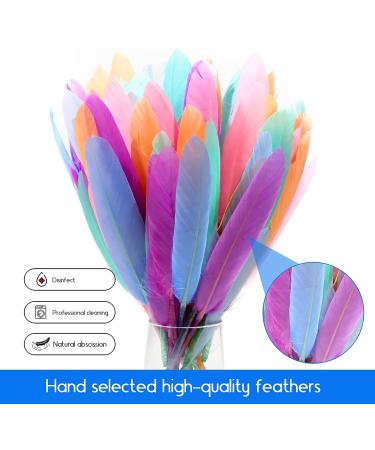 FeelfunFeather 240pcs Macaron Goose Cochettes Feathers 4-6 inch Bulk Natural - Wedding Party Halloween DIY Crafts - Buy Online on GoSupps.com