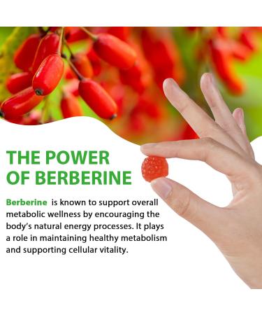 HBIKCLYC Berberine Gummies Supplement Sugar-Free Berberine Ceylon Cinnamon Supplement for Adults Supports Overall Health and Immune System Promotion of Mens & Womens Health - 60 Gummies (1) - Buy Online on GoSupps.com
