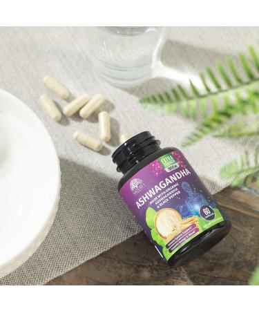Organic Ashwagandha Capsules - Extra Strength Stress & Immune Support - 60 Count (Pack of 1) - Buy Online on GoSupps.com