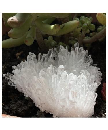 Natural Crystal Rough Natural Clear Quartz Crystal Cluster Minerals Reiki Stone Home Furnishing Decoration Decoration Natural Luster (Size : 300-400g)