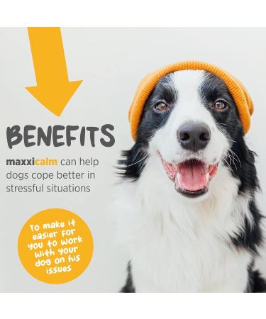 maxxipaws maxxicalm Natural Calming Supplement for Dogs - 120 Non-Drowsy Tablets - Buy Online on GoSupps.com