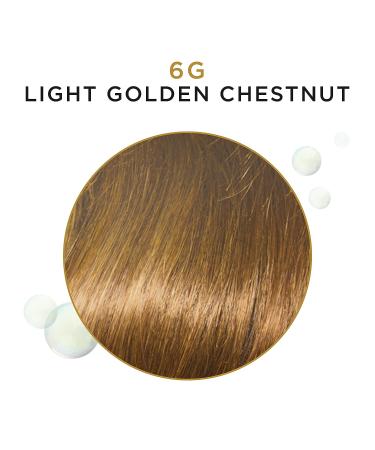 Clairol Professional Beautiful Advanced Gray Solutions 6g Light Gdn Chestnut Semi-Permanent Hair Color - Buy Online on GoSupps.com
