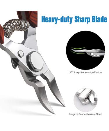 FERYES Professional Wooden Handle Toenail Clipper - Sharp Wide Jaw for Ingrown Thick Nails - Buy Online on GoSupps.com