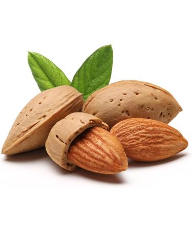 Premium Almond Oil - 1 Fluid Ounce | Natural Moisturizer for Skin & Hair | Shop Internationally - Buy Online on GoSupps.com