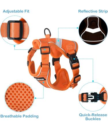 Petbonus Adjustable Cat Dishes & Harness Set - Breathable Soft Cat Bowls with Reflective Strips for Kittens - Small Size (Orange) - Buy Online on GoSupps.com