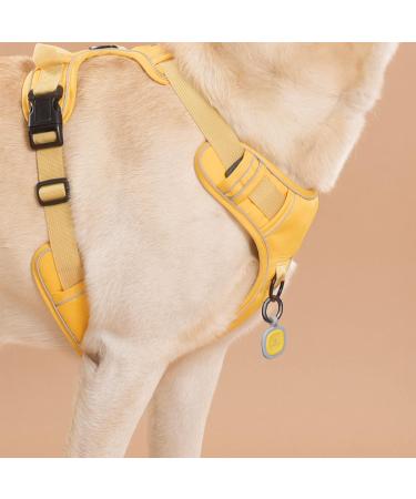 Personalized Pawaii Dog & Cat ID Tags | QR Code Address Pendant | Noiseless Silicone & Wear-Resistant Dog Tags - Buy Online on GoSupps.com