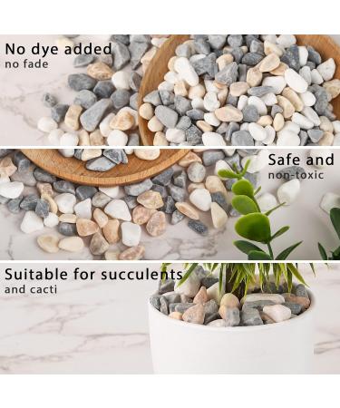 VGOODALL 900g Mixed Colour Gravel Pebbles - 2LB Natural Decorative Pebbles for Succulents, Vases, Aquariums & Outdoor Decor - Buy Online on GoSupps.com