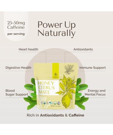 Palermo Organic Yerba Mate Tea Bags - Honey Citrus with Ginger & Turmeric | 20 Count | Energizing Antioxidant-Rich Vegan Gluten-Free - Buy Online on GoSupps.com