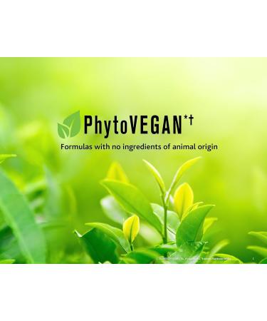 Procure Vegan Detangling Conditioner for Colored Hair | 1-Minute Deep Hair Mask for Normal Dry & Dull Hair | Protect & Nourish Color-Treated Hair - Buy Online on GoSupps.com