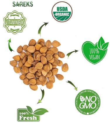 Sareks Organic Raw Bitter Apricot Seeds - 10oz Resealable Bag | USDA Certified, Non-GMO, Raw, Kosher, Vegan, Gluten-Free - Buy Online on GoSupps.com