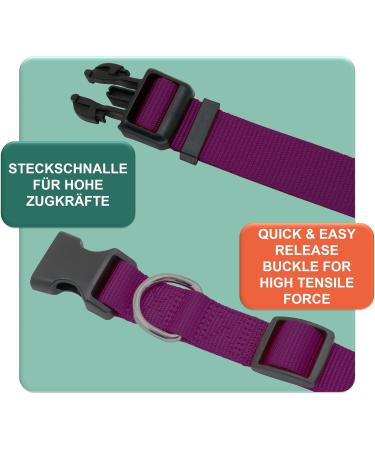 Dey Premium Nylon Dog Collar - Adjustable for Small & Large Dogs | Multiple Colors & Sizes | Dog Cat & Puppy Neck Bands | Lila L - 2.5 x 45-68 cm Purple - Buy Online on GoSupps.com