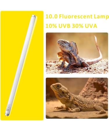 Dernord T8 10.0 18W UVB Fluorescent Tube Light for Reptile Vivarium - Tortoise Turtle Heat Lamp - Buy Online on GoSupps.com