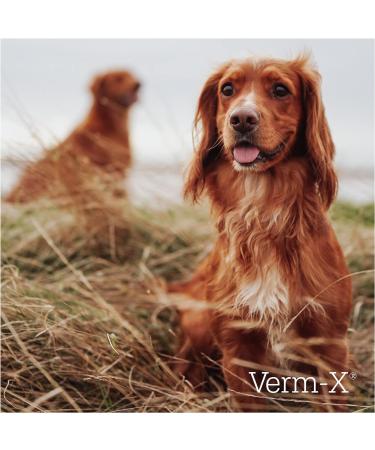 Verm-X for Dogs - Biscuits - 650 g  - Buy Online on GoSupps.com