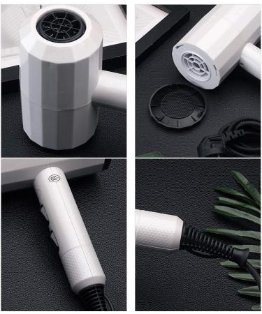 Professional Hair Dryer 2000W Hair Dryer Set Travel Hairdryer Hair Straightener with 9 Pieces of Accessories 2 Speed 3 Heat Negative Ions Overheat Protection Salon Tools Household for Salon Home White - Buy Online on GoSupps.com