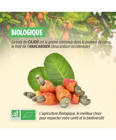  Plan te au Naturel Organic Cashew Nuts 250g - Peeled - Unsalted - Unroasted - Buy Online on GoSupps.com