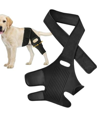 Dog Leg Support Brace | with 10 Support Sticks Dog Back Leg Brace | Comfortable Hip and Leg Protector Breathable for Small Senior and Disabled Dogs - Buy Online on GoSupps.com