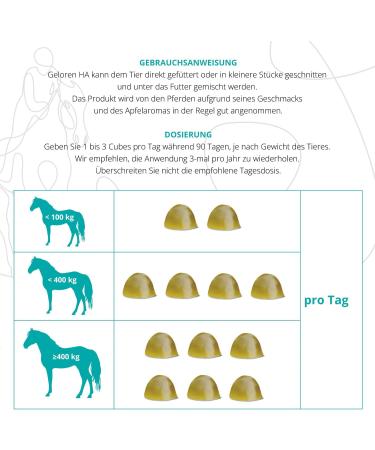 Natural Horse Joint Additives with Hyaluronic Acid - Apple Flavor Joint Cubes 450g | Optimize Joint Health for Horses - Buy Online on GoSupps.com