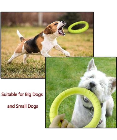 NA 2pcs Dog Toys Ring Outdoor Fitness Flying Discs Water Floating Dog Interactive Training Ring for Small Dog and Medium Dog - Buy Online on GoSupps.com