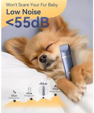 oneisall Dog Clippers Grooming Kit 4 in 1 Quite Cordless Dog Paw Trimmer & Nail Grinders & Small Dog Trimmer for Grooming Pet Clippers Shaver Trimmer for Small Dogs (Blue) - Buy Online on GoSupps.com