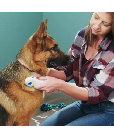 FEWB Pet Flea Comb Pet Grooming Comb Lice Cleaner Comb Grooming Removal Tools for Cat Dog Cleaning Brush Anti Flea Pet Supplies - Buy Online on GoSupps.com