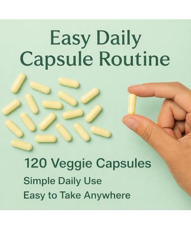 SILVEMOON Haritaki Capsules Organic Terminalia Chebula Fruit Extract Digestive Wellness Support Gentle Cleansing 120 Veggie Capsules - Buy Online on GoSupps.com