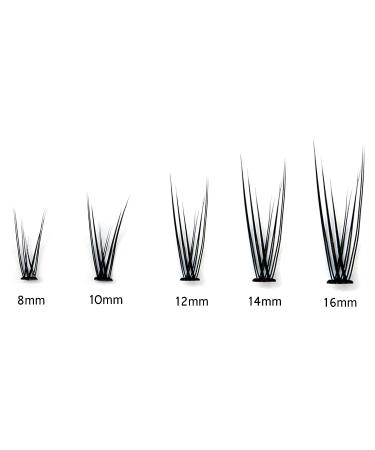 Scala 8-16mm C Curl Fish Tail Design 120pcs Individual False Eyelash Cluster Extension Tools - 14mm - Buy Online on GoSupps.com